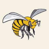 The-alabama-state-hornets Vintage Tee | Teevron