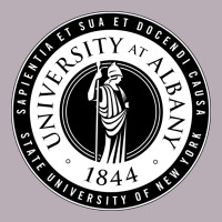 University Albany Suny Vintage Tee | Teevron