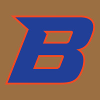 New-boise-state Vintage Tee | Teevron