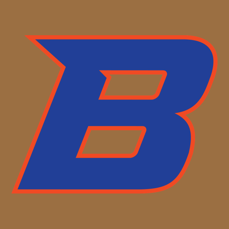 New-boise-state Vintage Tee by linhVisuals | Teevron
