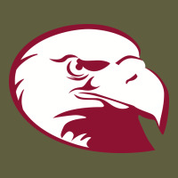 Lock Haven Bald Eagles Vintage Tee | Teevron