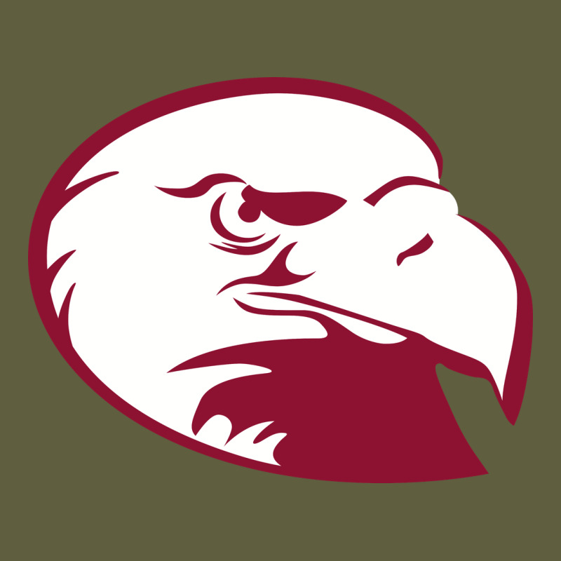 Lock Haven Bald Eagles Vintage Tee by linhVisuals | Teevron