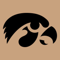 University Of Iowa Athletics Teams Gear Vintage Tee | Teevron