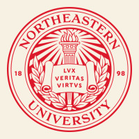 Northeastern University Vintage Tee | Teevron