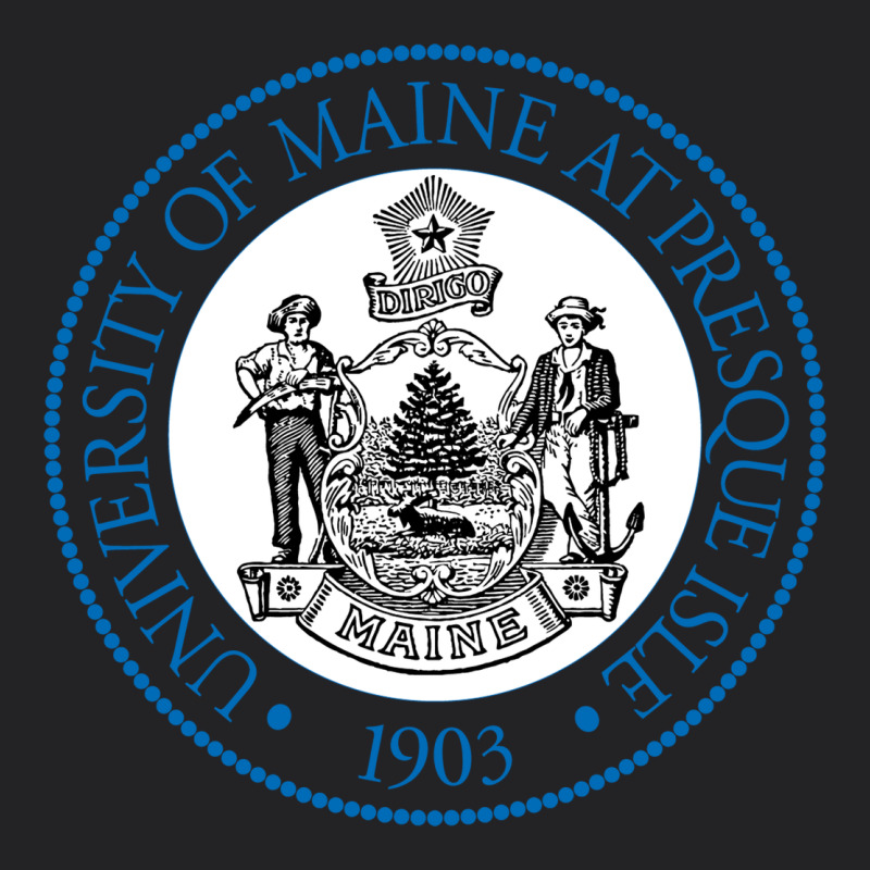 University Of Maine At Presque Isle Vintage Tee by linhVisuals | Teevron