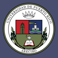 Upr At Arecibo Vintage Tee | Teevron