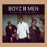 #boyz 2 Men Tour 2022 Vintage Tee | Teevron