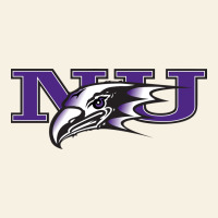 Niagara Purple Eagles Vintage Tee | Teevron