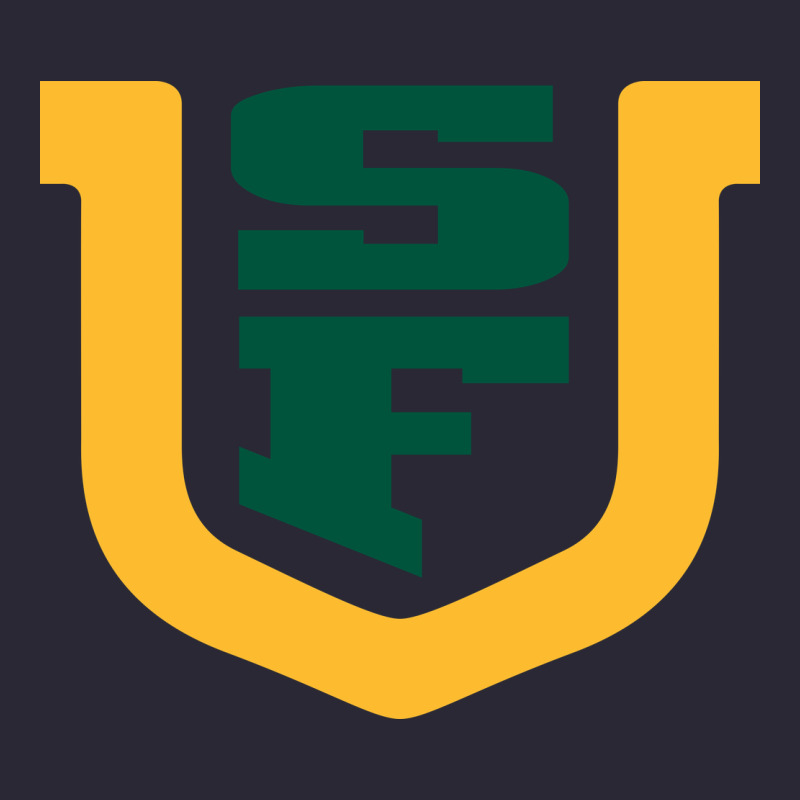 The Usf Dons Vintage Tee by linhVisuals | Teevron