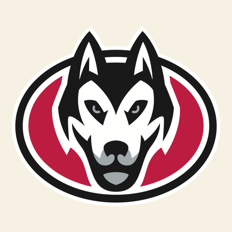 St. Cloud State Huskies, Merch Vintage Tee by linhVisuals | Teevron