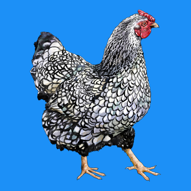 Wyandotte Chicken Classic Tee by LillyAllenDesigns | Teevron