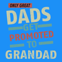 Only Great Dads Get Promoted To Grandad Classic Tee | Teevron