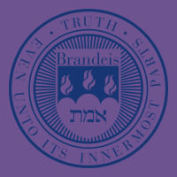 Brandeis University Vintage Tee | Teevron