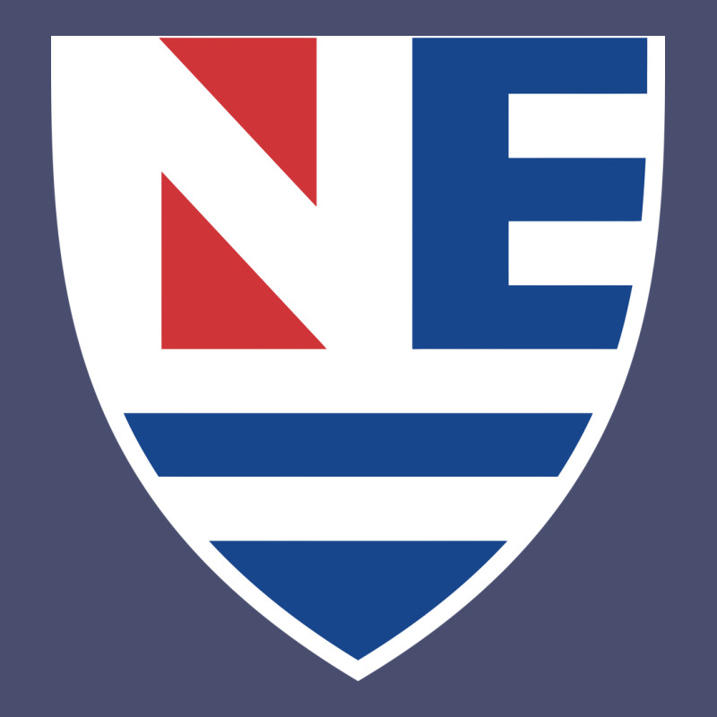New England College Shield Vectorized Vintage Tee by linhVisuals | Teevron