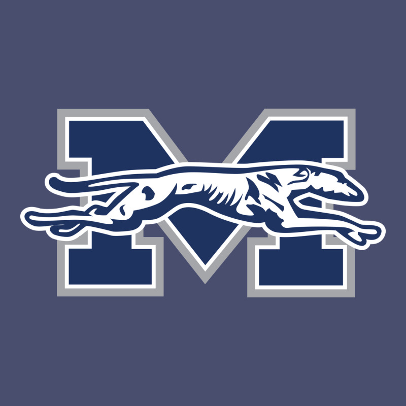 Moravian Merch, Greyhounds Vintage Tee by linhVisuals | Teevron