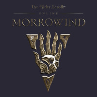 Morrowind Vintage Tee | Teevron