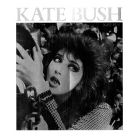 kate bush vintage | Teevron