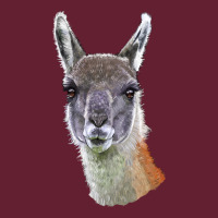 Guanaco Llama Head Classic Tee | Teevron