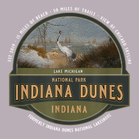 Indiana Dunes National Park Lake Michigan Beach Trails T Shirt Vintage Tee | Teevron