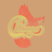 Vintage Chicago Vintage Tee | Teevron