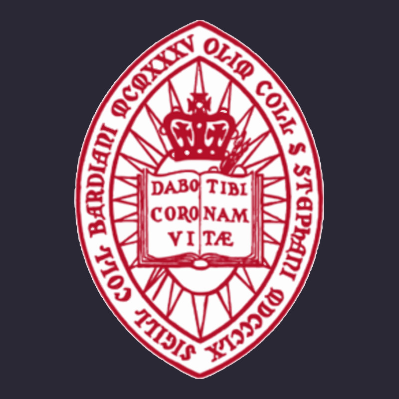 Bard College Vintage Tee by linhVisuals | Teevron
