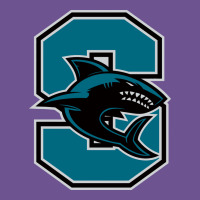 Santiago High School Vintage Tee | Teevron