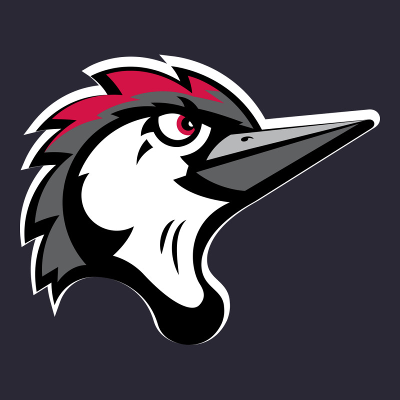 Fayetteville Woodpeckers Vintage Tee by linhVisuals | Teevron