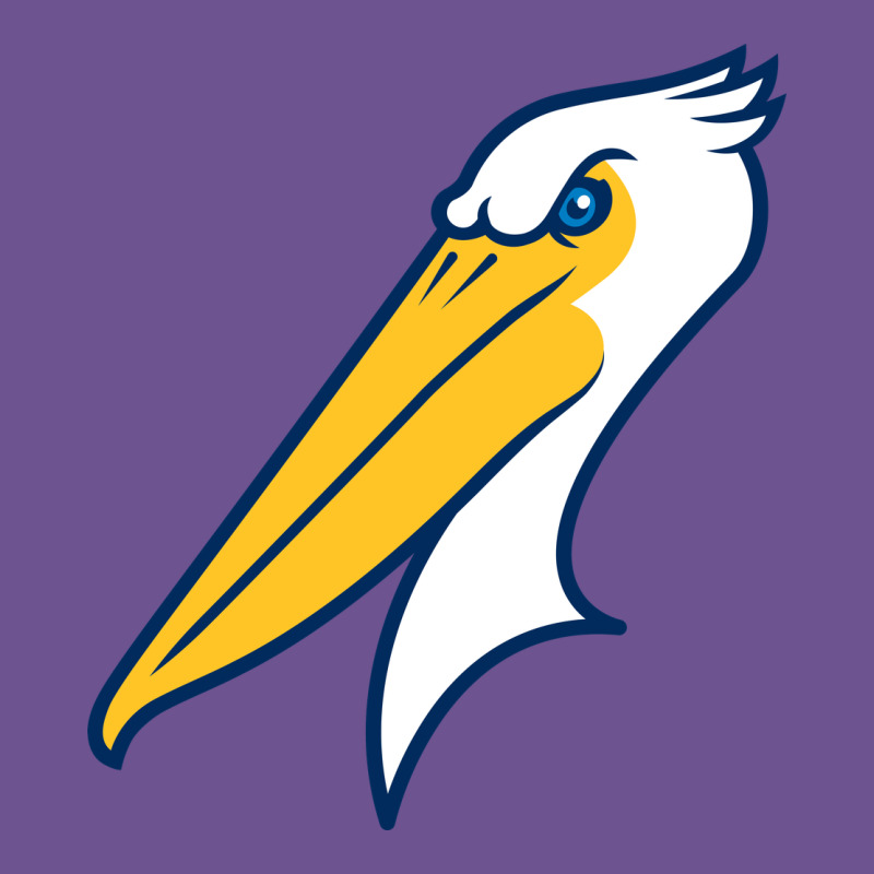 Myrtle Beach Pelicans Vintage Tee by linhVisuals | Teevron