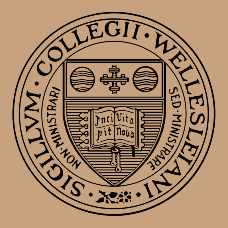 Wellesley College Vintage Tee by linhVisuals | Teevron