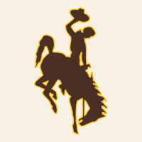 Wyoming Athletics Vintage Tee | Teevron