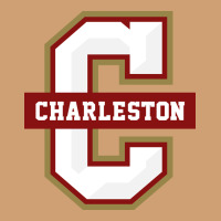 The Charleston Cougars Vintage Tee | Teevron