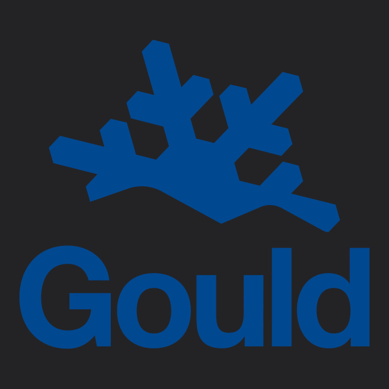 Gould Academy Vintage Tee by linhVisuals | Teevron