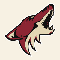 The-coyotes-of-arizona-sporst Vintage Tee | Teevron