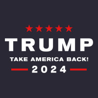 Donald Trump 2024 Take America Back Election   The Return Sweatshirt Vintage Tee | Teevron