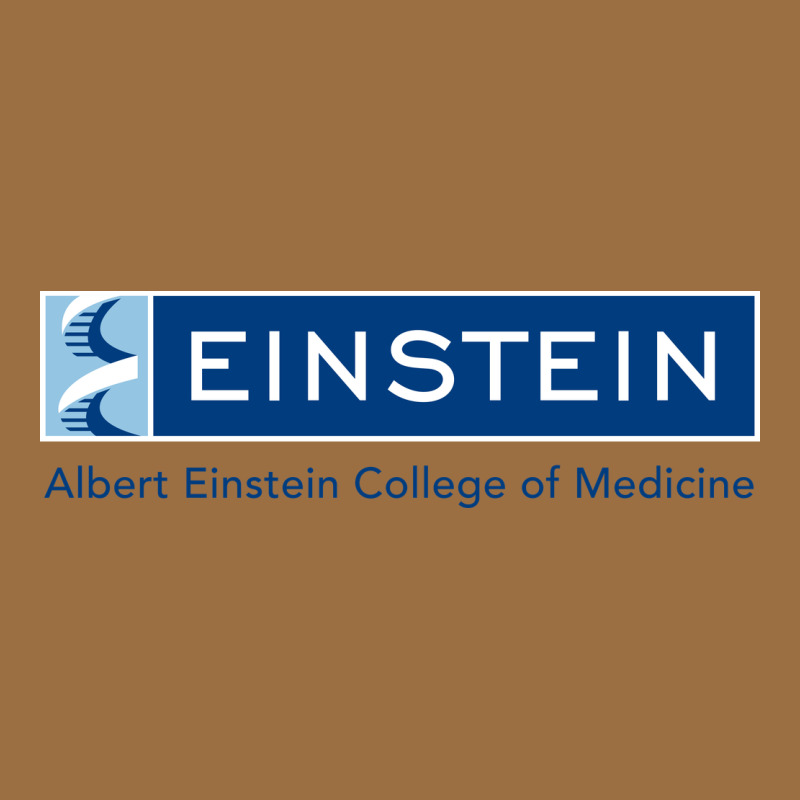 Albert Einstein College Of Medicine Vintage Tee by linhVisuals | Teevron