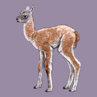 Guanaco Llama Baby Classic Tee | Teevron