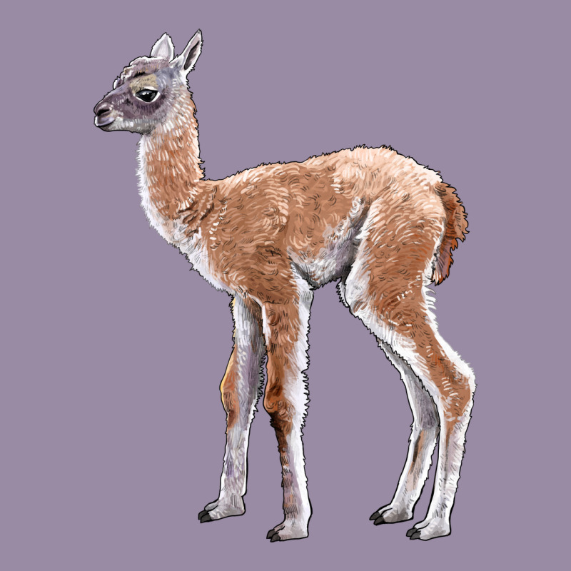 Guanaco Llama Baby Classic Tee by LillyAllenDesigns | Teevron