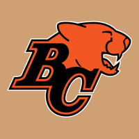 Bc Lions Vintage Tee | Teevron