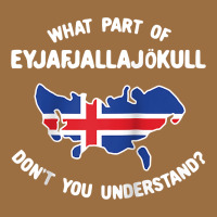 What Part Of Eyjafjallajökull Don't You Understand Raglan Baseball Te Vintage Tee | Teevron