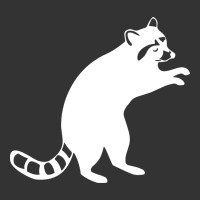 raccoon | Teevron