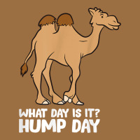 What Day Is It Hump Day Funny Camels Hump Day T Shirt Vintage Tee | Teevron