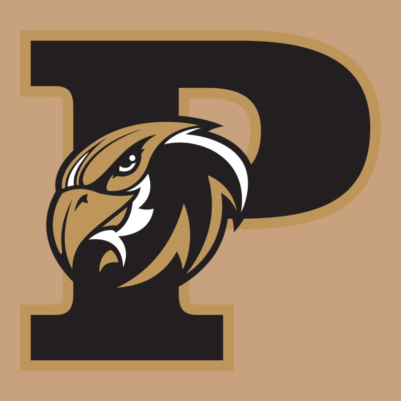 Poolesville High School Vintage Tee by linhVisuals | Teevron