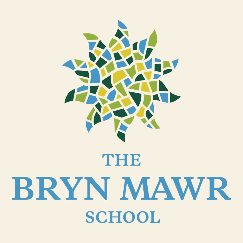 Bryn Mawr School Vintage Tee by linhVisuals | Teevron