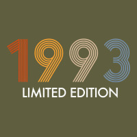 Retro 29 Years Vintage 1993 Limited Edition 29th Birthday T Shirt Vintage Tee | Teevron