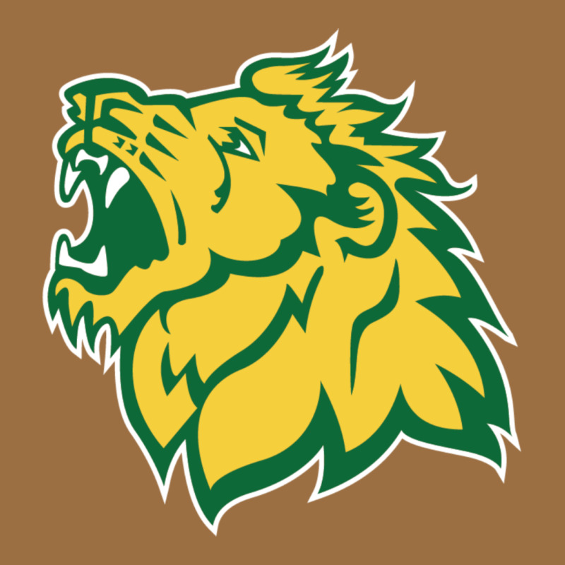 Missouri Southern, Mssu Lions Vintage Tee by linhVisuals | Teevron