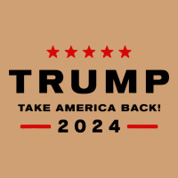 Donald Trump 2024 Take America Back Vintage Tee | Teevron