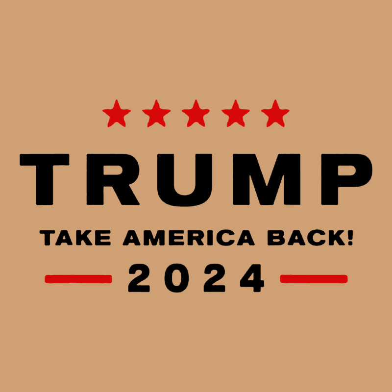 Donald Trump 2024 Take America Back Vintage Tee by baoMotion | Teevron