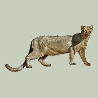 Jaguarundi Classic Tee | Teevron