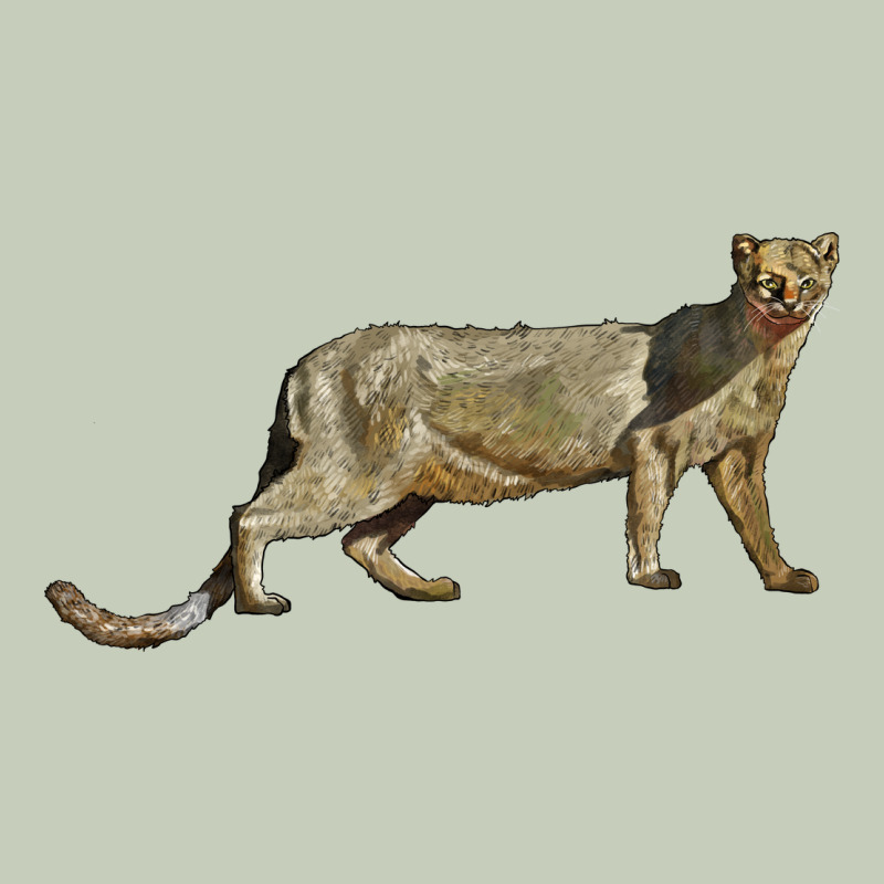Jaguarundi Classic Tee by LillyAllenDesigns | Teevron