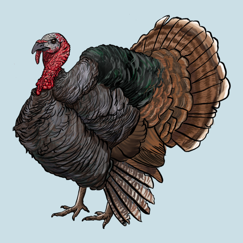 Gobble Ladies Tee by RanaPortraitStore | Teevron